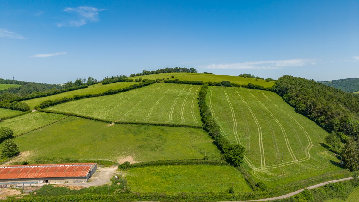 95.63  Farm, Lot 1: Perry Farm, Dulverton, TA22 - Available, Image 3