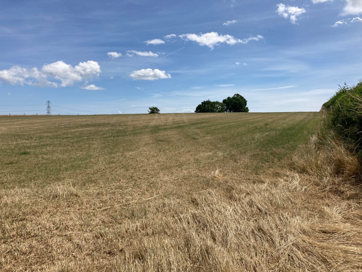 2.84  Land, Lot 1: Land At Goathurst, Goathurst, TA5 - Sold, Image 3