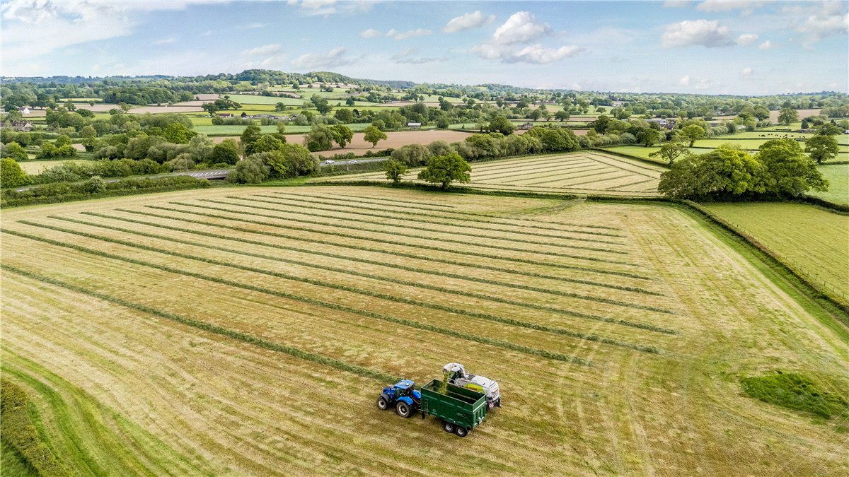 45.57  Farm, Donyatt, Ilminster, TA19 - Available, Image 12