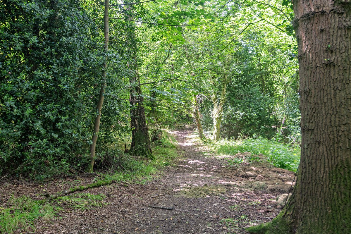 41.8  Land, The Ridge, Cold Ash, RG18 - Sold, Image 2