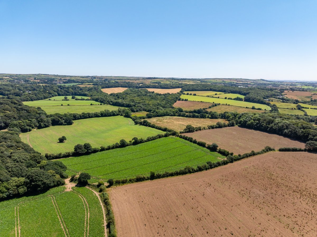 240  Land, Praze, Camborne, TR14 - Sold, Image 6