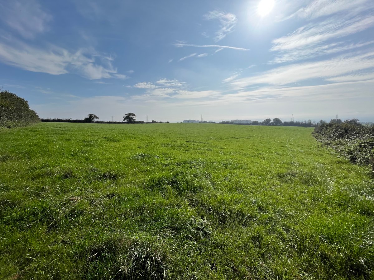 11.98  Land, Land At Hill Farm, West Monkton, TA2 - Sold, Image 1