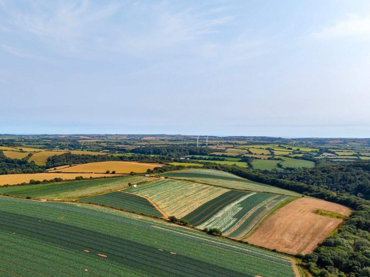 49.79  Land, Land At Resugga Farm, St. Stephen, PL26 - Sold STC, Image 8