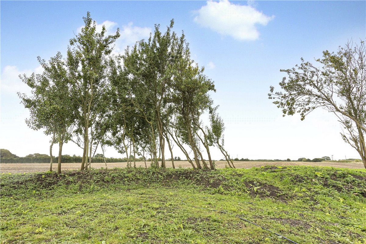 2 bedroom Cottage, Mill Lane, Chalgrove, OX44 - Available, Image 5