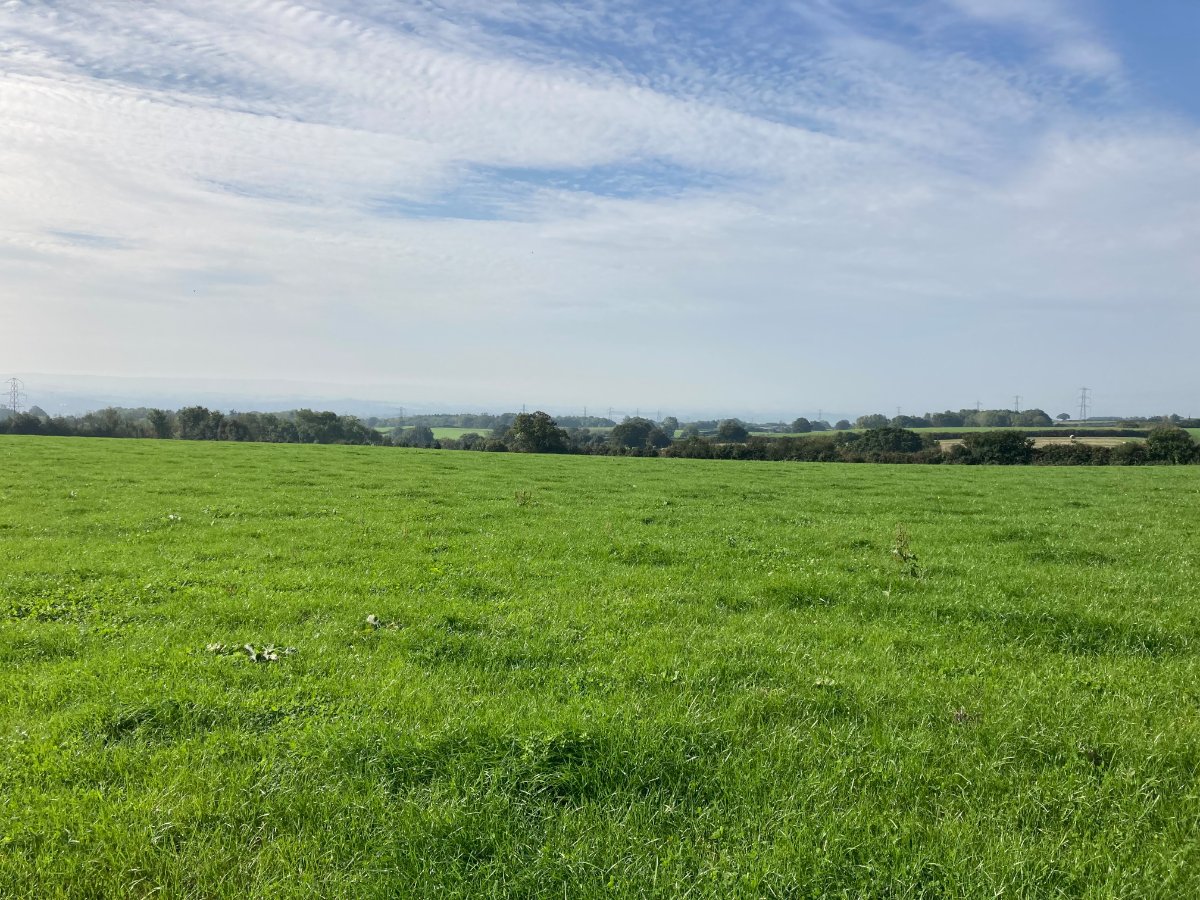 11.98  Land, Land At Hill Farm, West Monkton, TA2 - Sold, Image 2