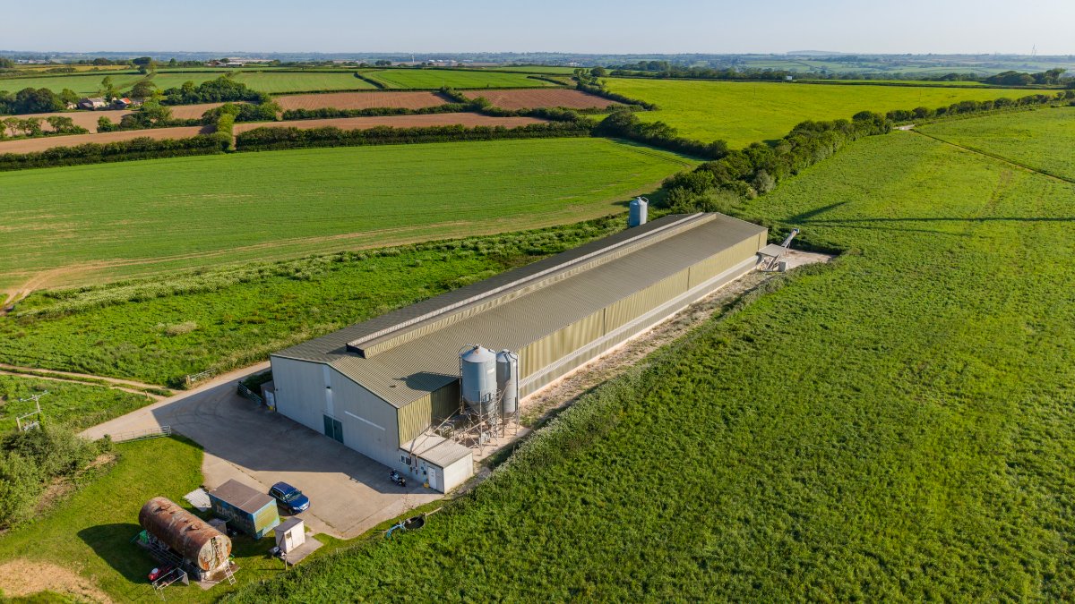 219.96  Farm, Holsworthy Beacon, Holsworthy, EX22 - Available, Image 3