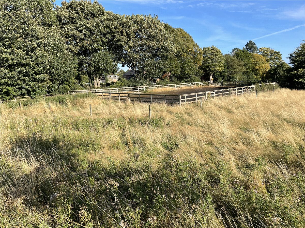   Land, Bishop Monkton, Harrogate, HG3 - Available