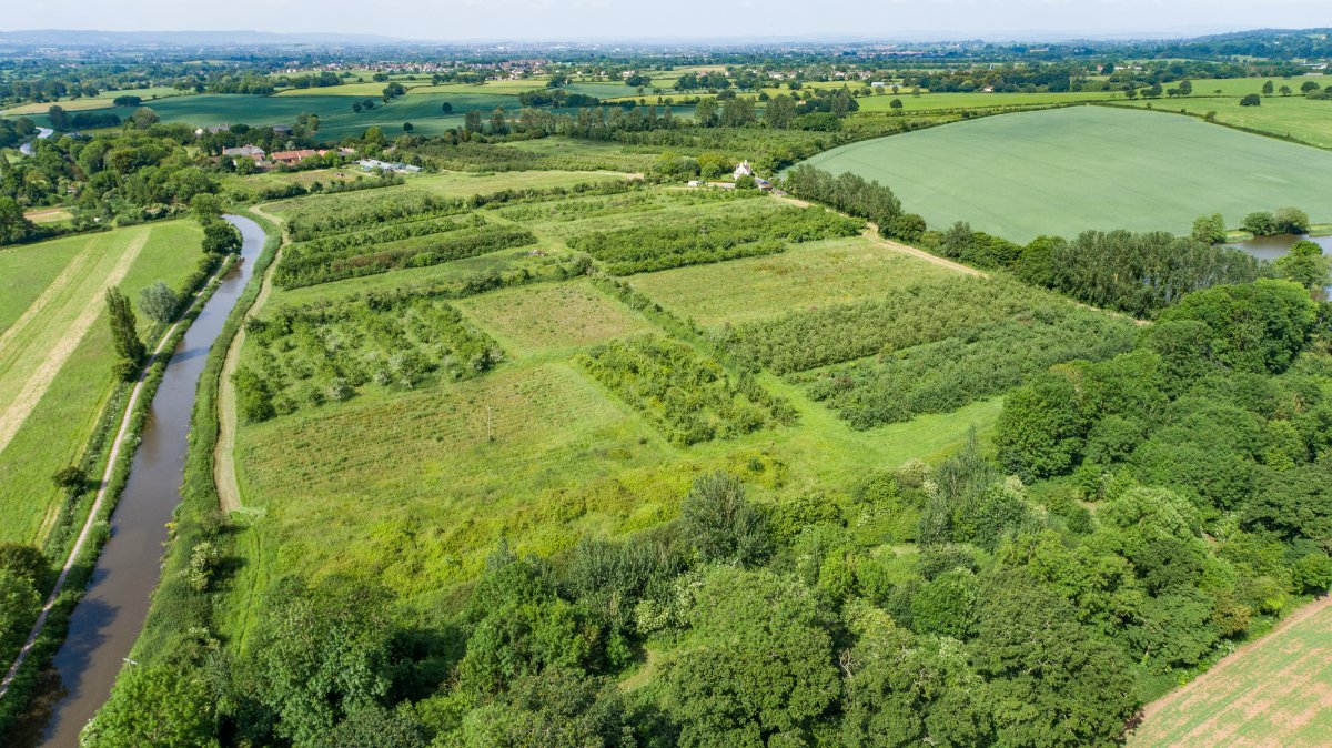 4 bedroom House, Charlton Road, Creech St. Michael, TA3 - Sold, Image 15