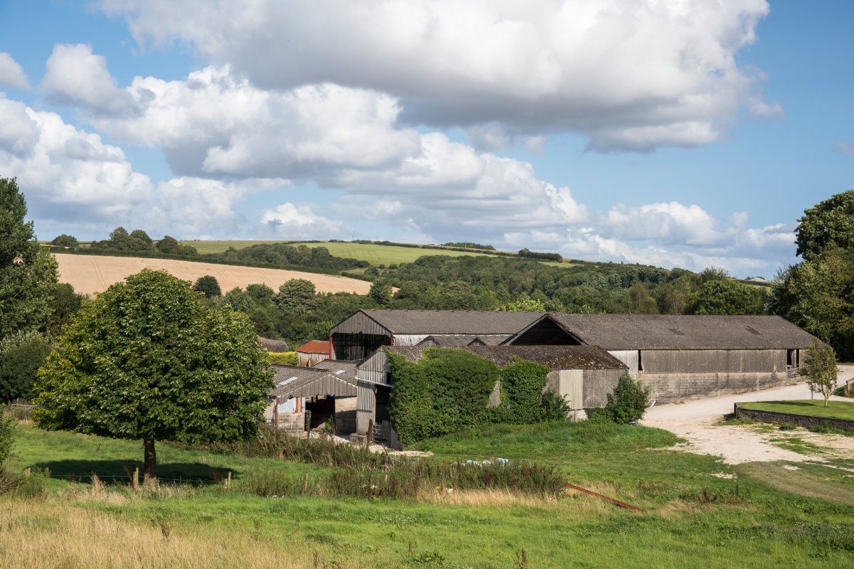 276.92  Farm, Cruxton Manor Farm, Cruxton, DT2 - Available, Image 9