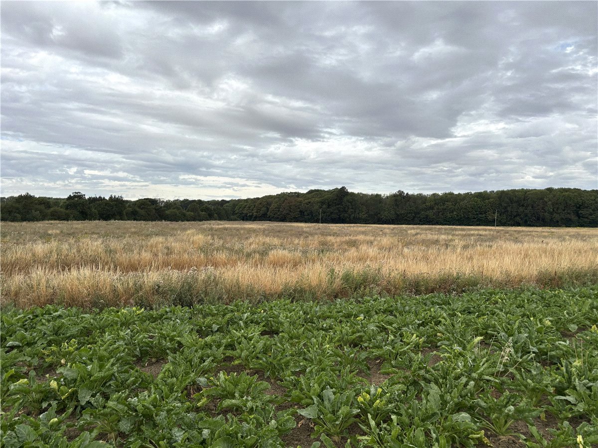   Land, Lot 3 - Land At Owston, Doncaster, DN5 - Available, Image 1