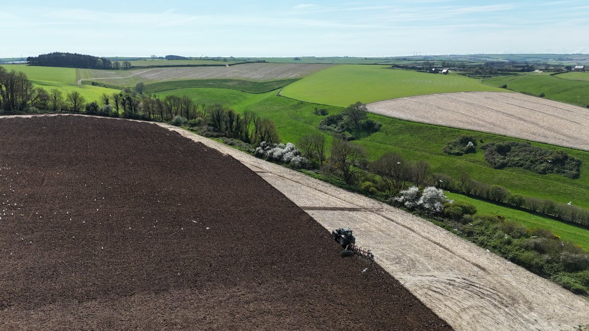 86.11  Land, Lot 2: Land At Cruxton Manor Farm, Cruxton, DT2 - Available, Image 5