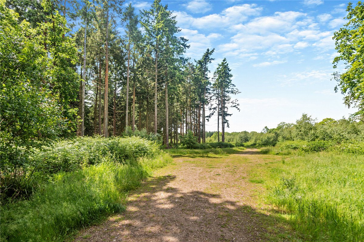 77.2  Land, Broad Lane, Upper Bucklebury, RG7 - Available, Image 1