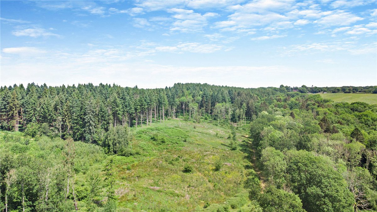 77.2  Land, Broad Lane, Upper Bucklebury, RG7 - Available, Image 1