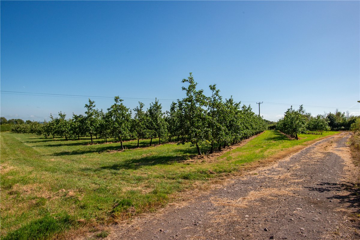 41.36  Land, Shepton Mallett, Somerset, BA4 - Sold, Image 3