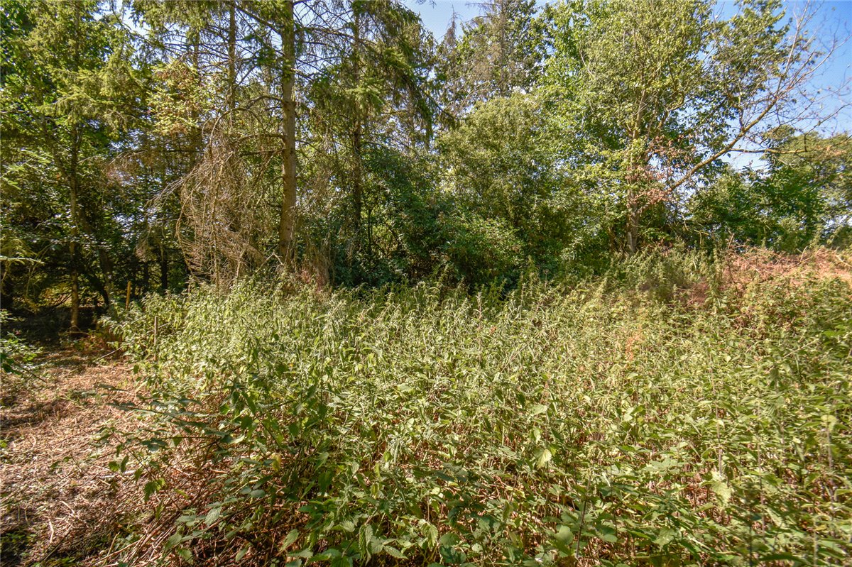   Development Land, Sturmer Road, Steeple Bumpstead, CB9 - Sold STC, Image 3