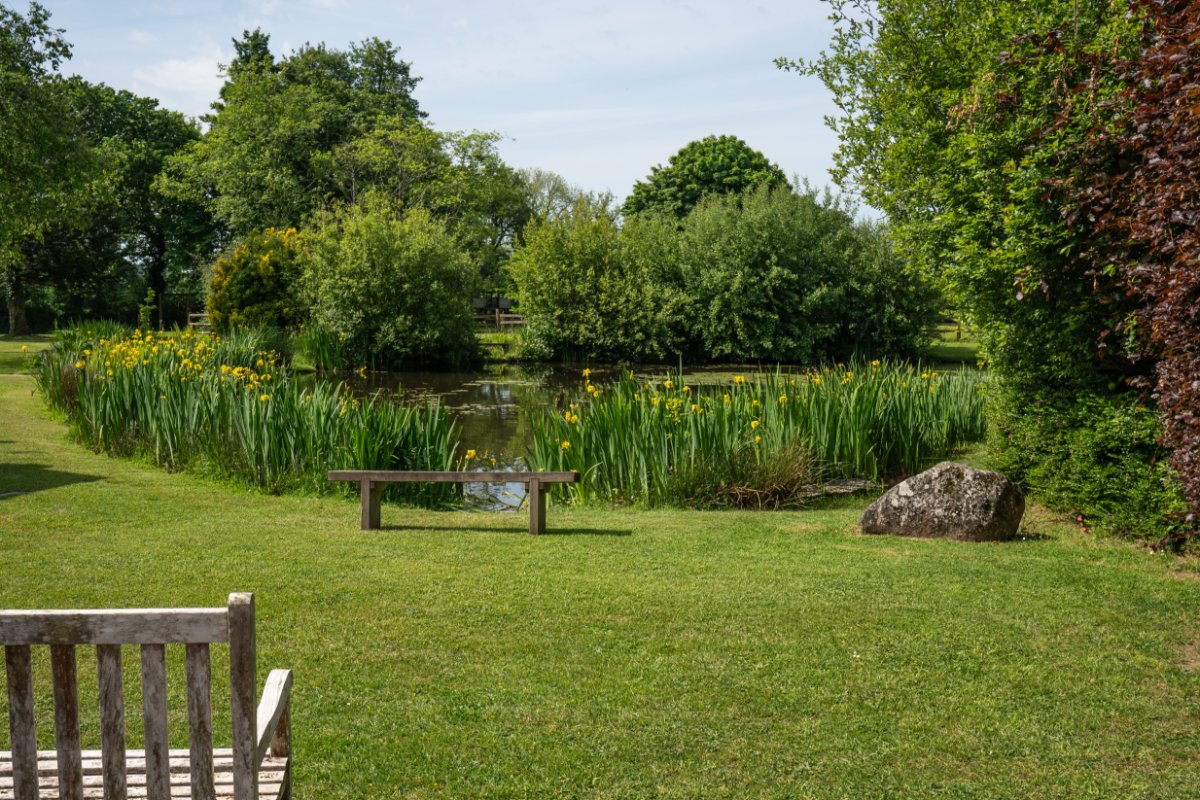 25 bedroom House, Callington, Cornwall, PL17 - Available, Image 7