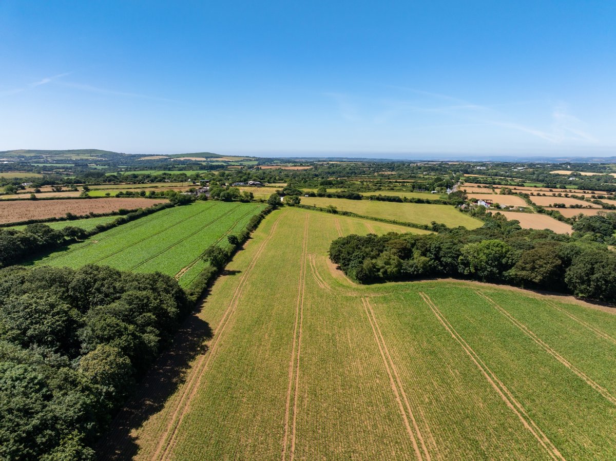 198  Land, Praze, Camborne, TR14 - Sold, Image 7