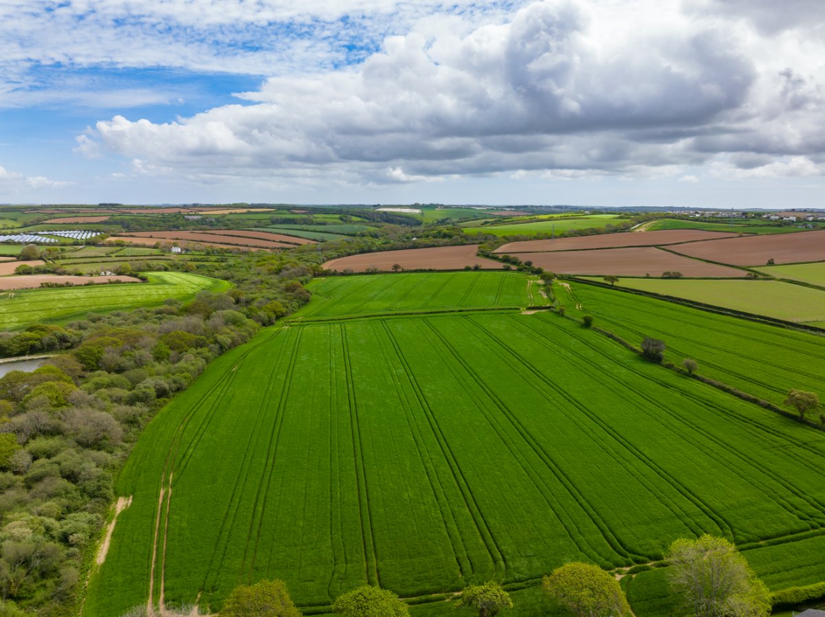 91.07  Land, St Allen, Truro, TR4 - Sold