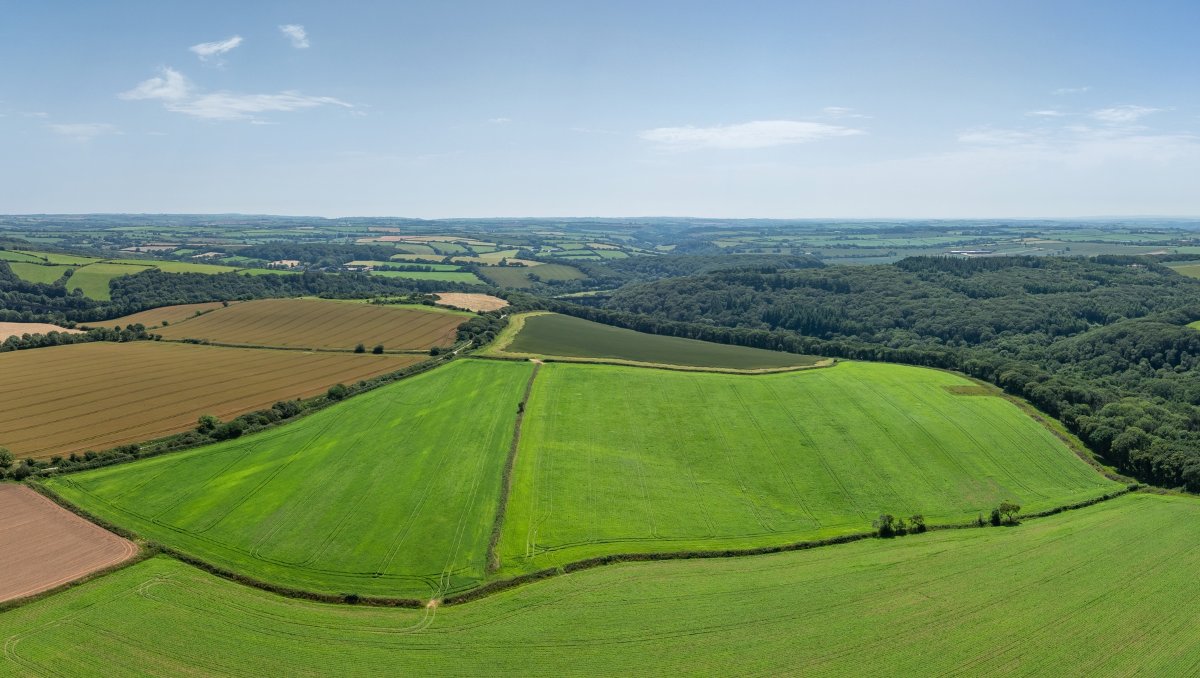 49.79  Land, Land At Resugga Farm, St. Stephen, PL26 - Sold STC, Image 2
