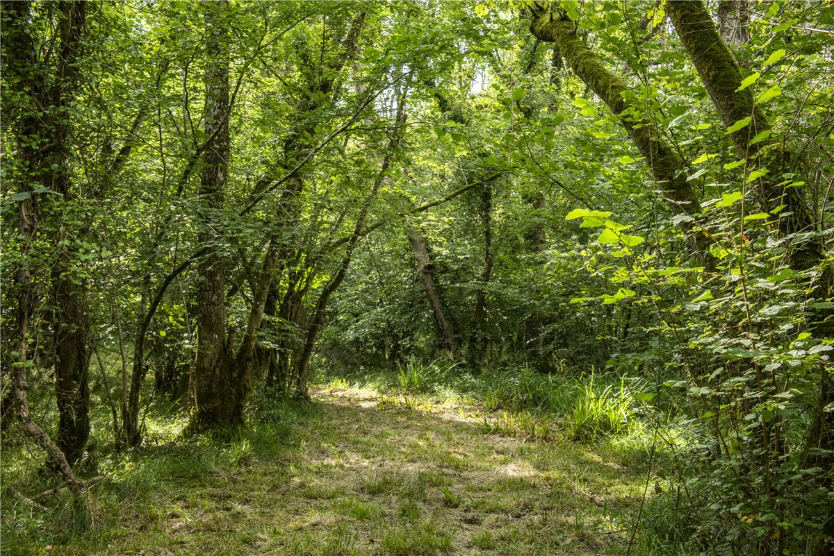 227  Farm, Buckland St. Mary, Chard, TA20 - Available, Image 10