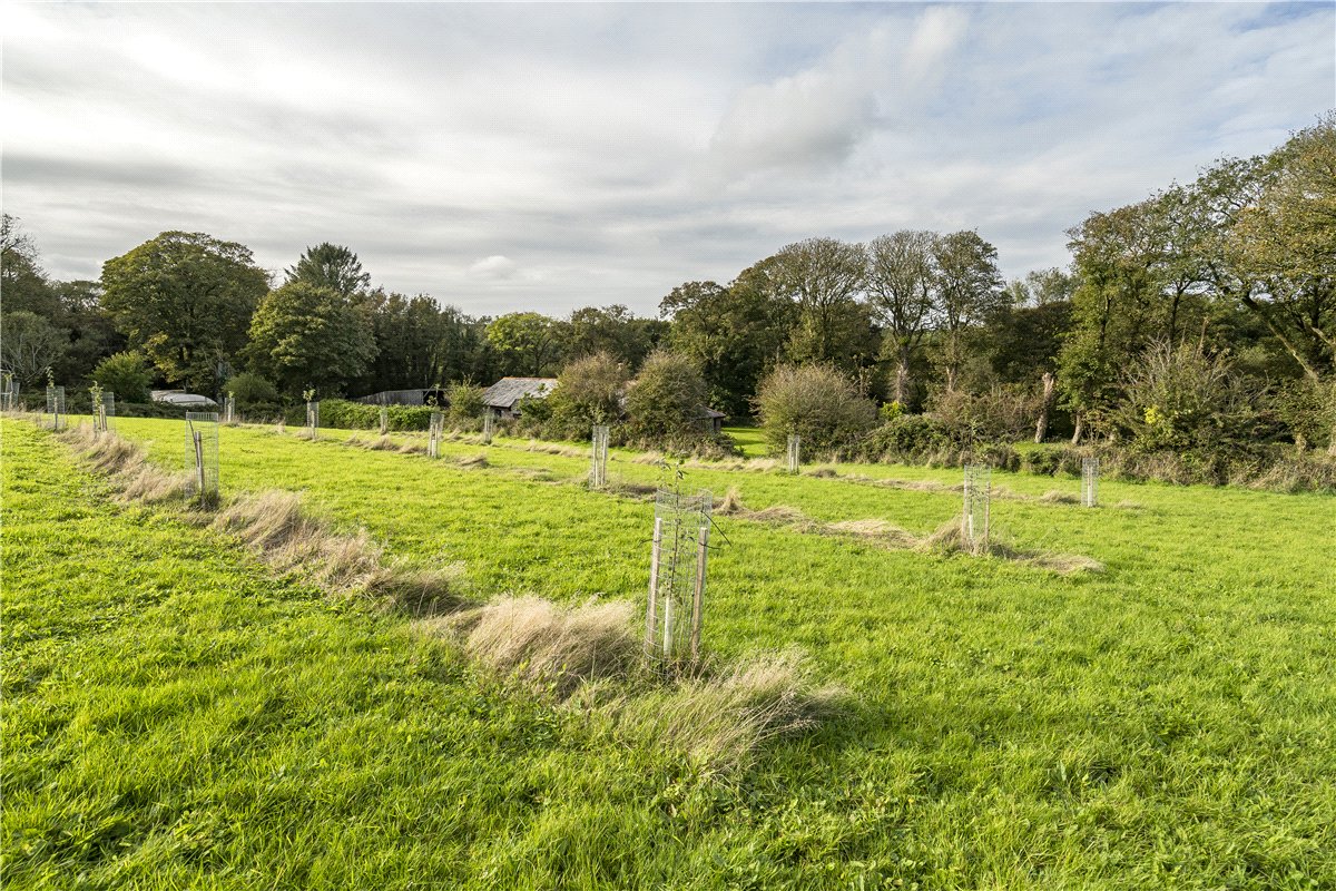  Land, Tregolls, Stithians, TR3 - Available, Image 6