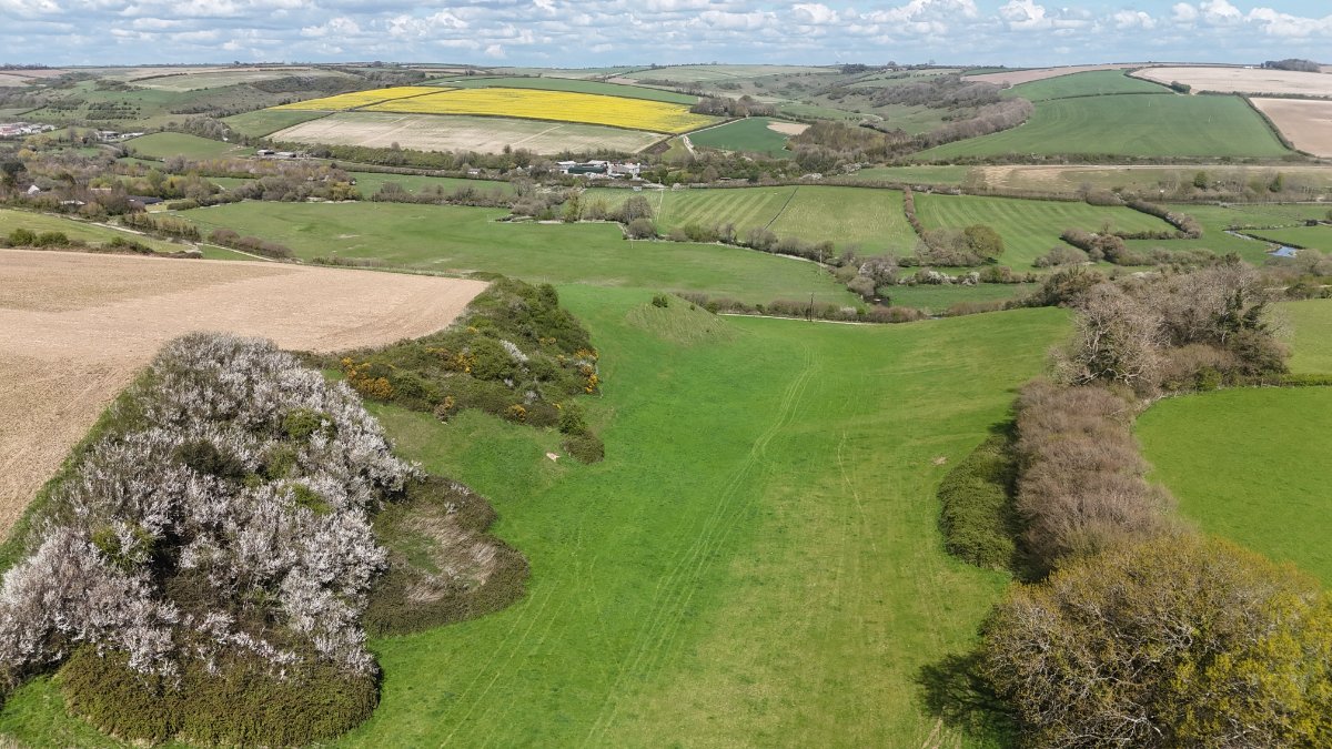 86.11  Land, Lot 2: Land At Cruxton Manor Farm, Cruxton, DT2 - Available, Image 2