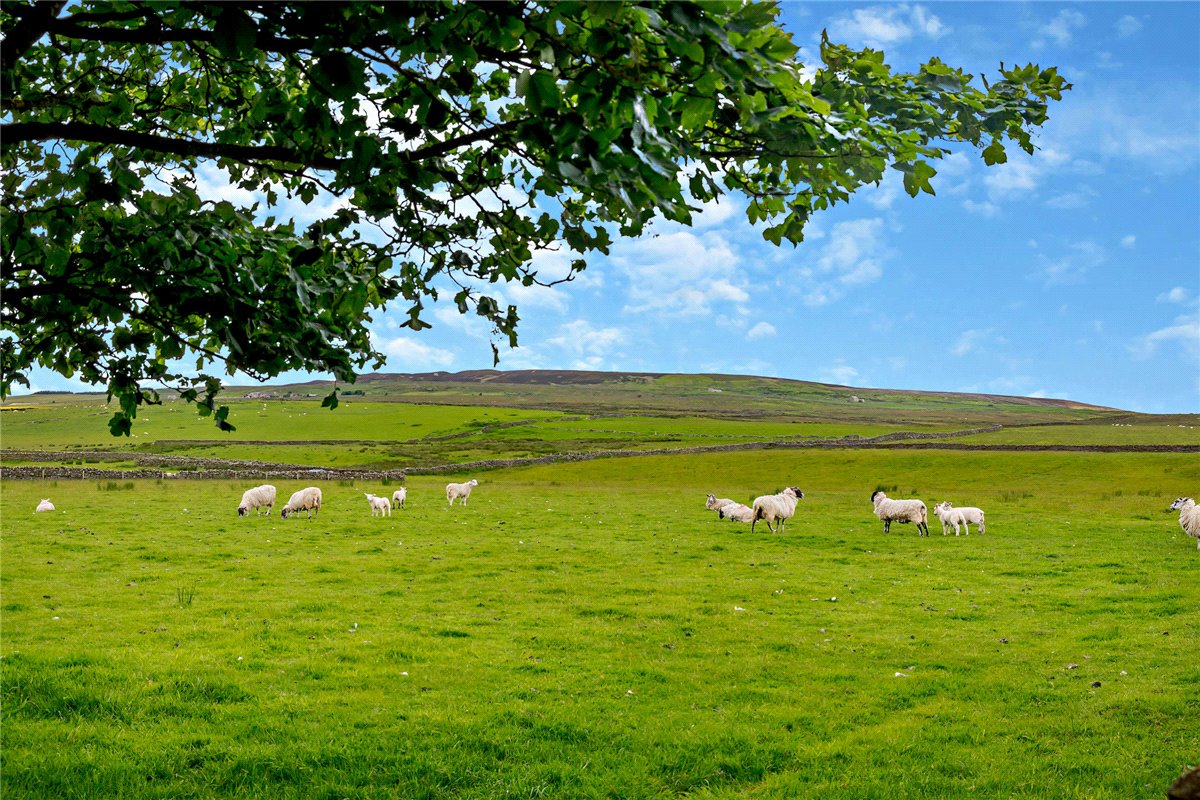 43.3  Farm, Foggerthwaite, Eggleston, DL12 - Sold, Image 23