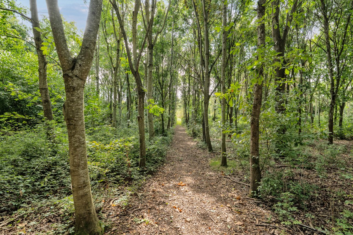 13.09  Land, Drake Street, Welland, WR13 - Available, Image 5