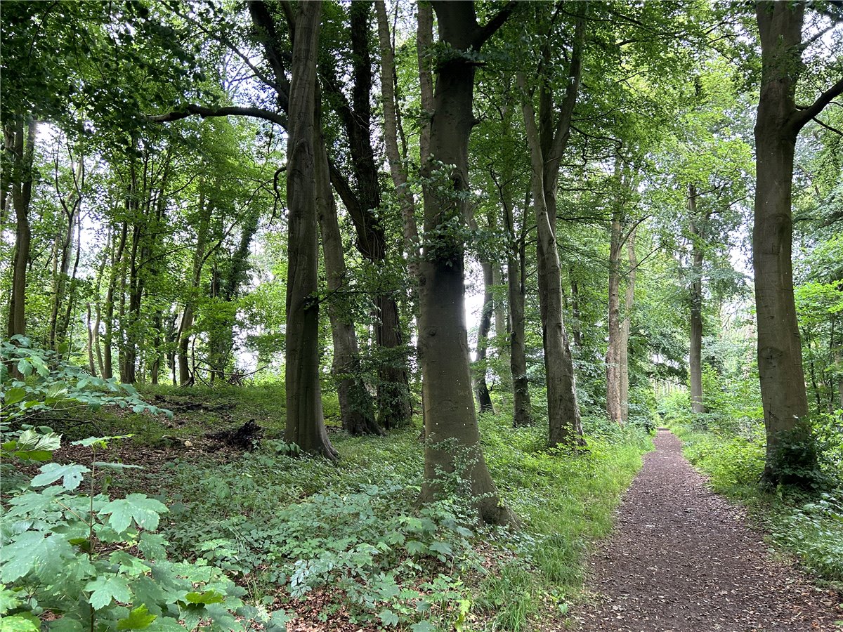 50.31  Land, The Street, Castle Combe, SN14 - Sold, Image 2