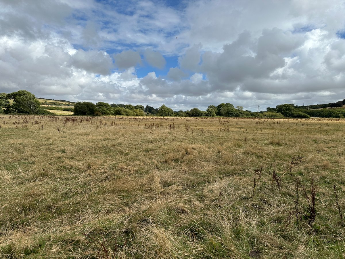 11.19  Land, Lot 6: Land At Cruxton Manor Farm, Cruxton, DT2 - Available, Image 1