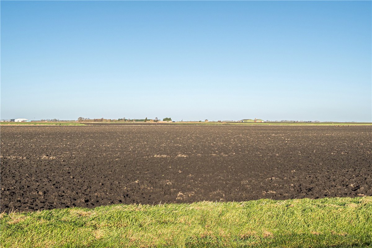 5.94  Land, Land At Pymoor - Lot 4, Main Drove, Little Downham, CB6 - Available, Image 4