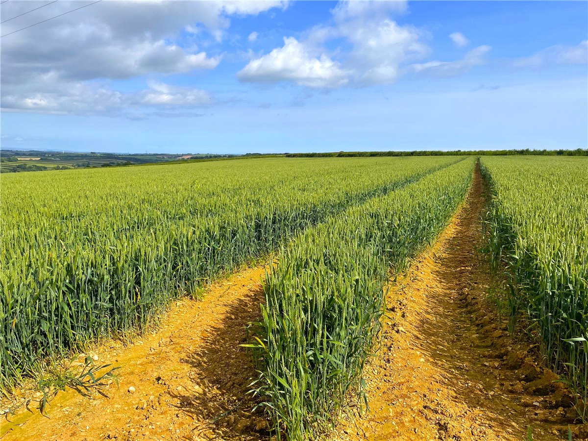 19.79  Development Land, East Taphouse, Liskeard, PL14 - Sold, Image 2