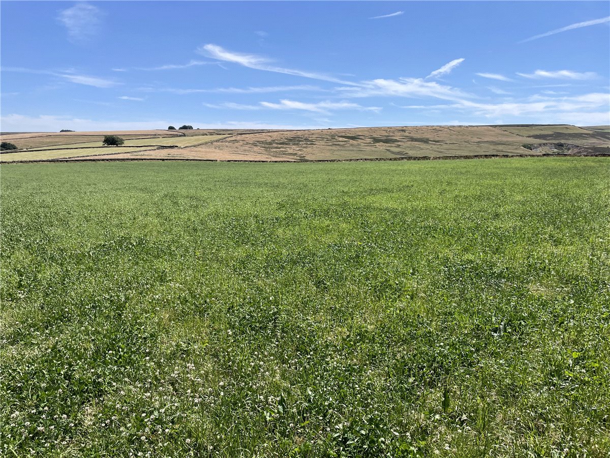 21  Land, Ughill, Bradfield, S6 - Sold, Image 4