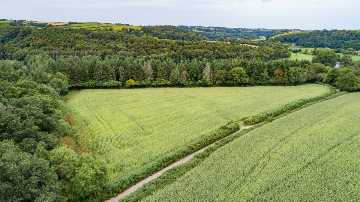 6.54  Land, Lot 4: Land To South Of Chope’s Bridge, Weare Giffard, EX39 - Sold