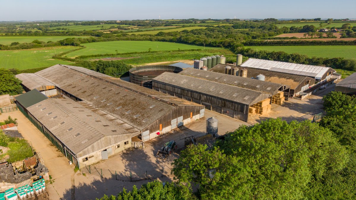 219.96  Farm, Holsworthy Beacon, Holsworthy, EX22 - Available, Image 9