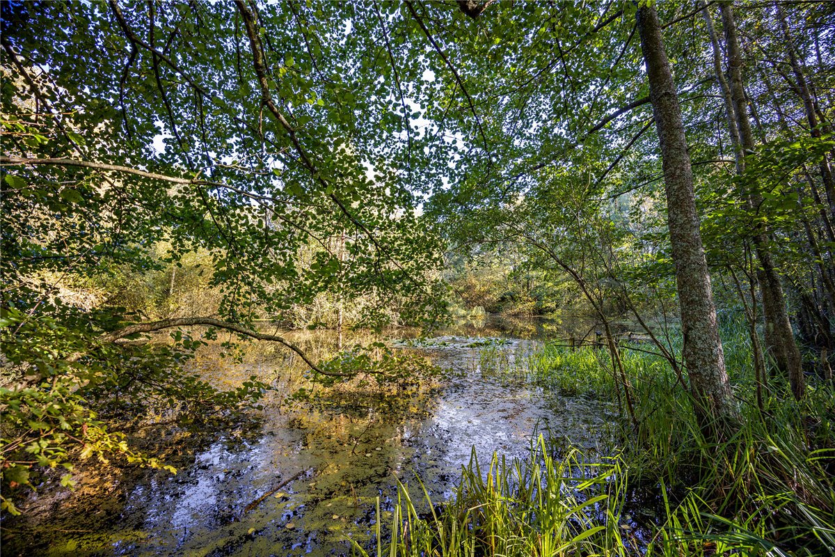 1.39  Land, Lower Way, Thatcham, RG19 - Sold, Image 10