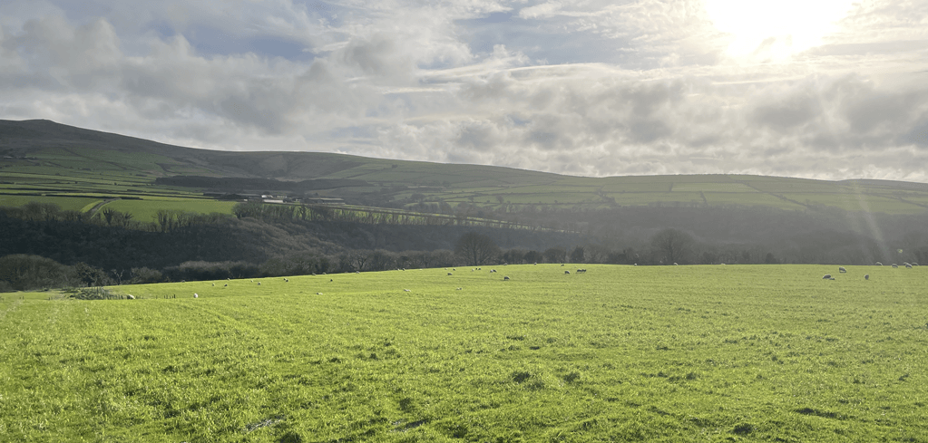 Sheep grazing on a bright green hillside pasture with rolling hills and a partly cloudy sky with sunlight breaking through.