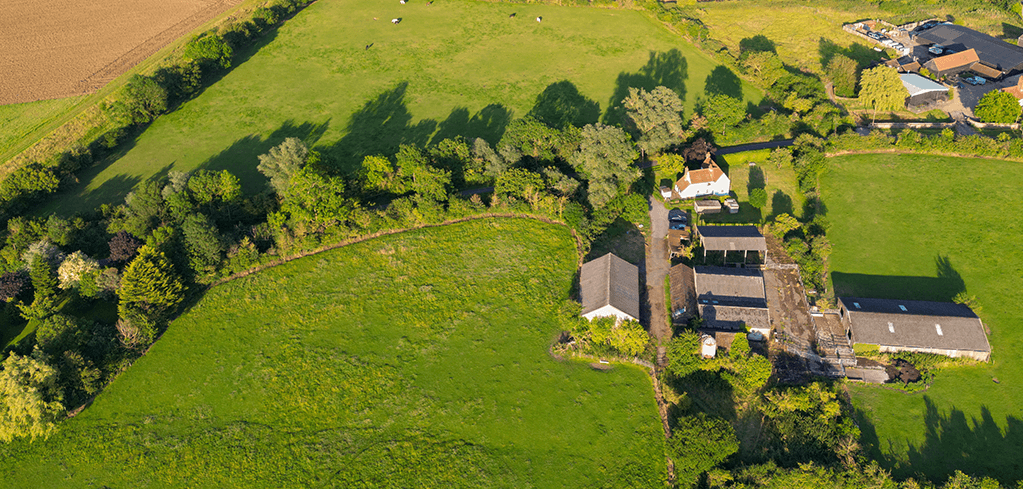 Aerial view of a rural farmstead with white buildings, barns, surrounded by lush green fields and trees casting long shadows.