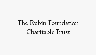Rubin Foundation