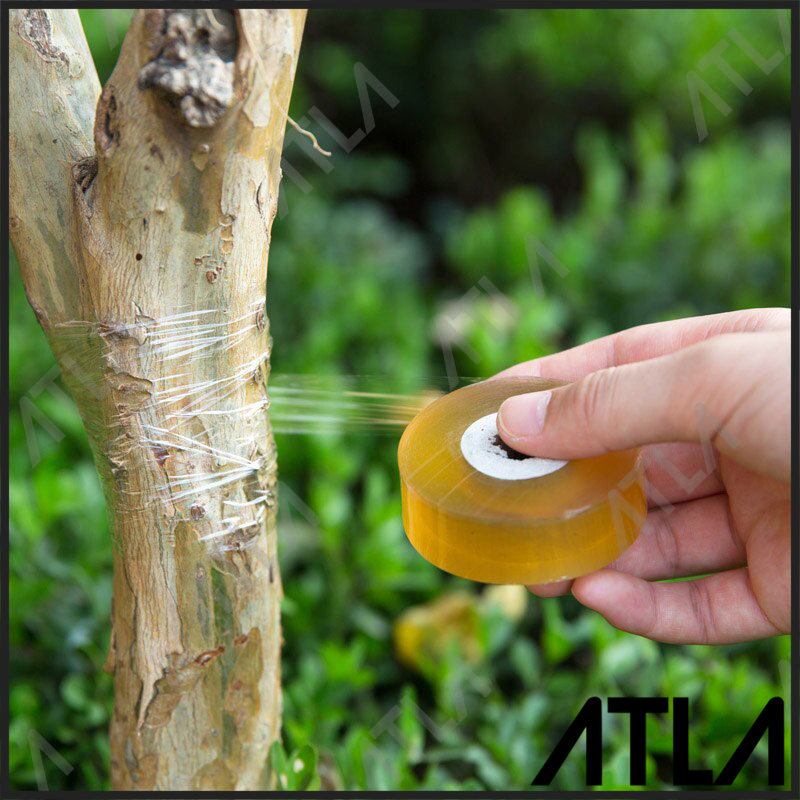 Wristwatch by Versace