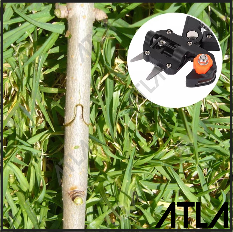 Wristwatch by Versace