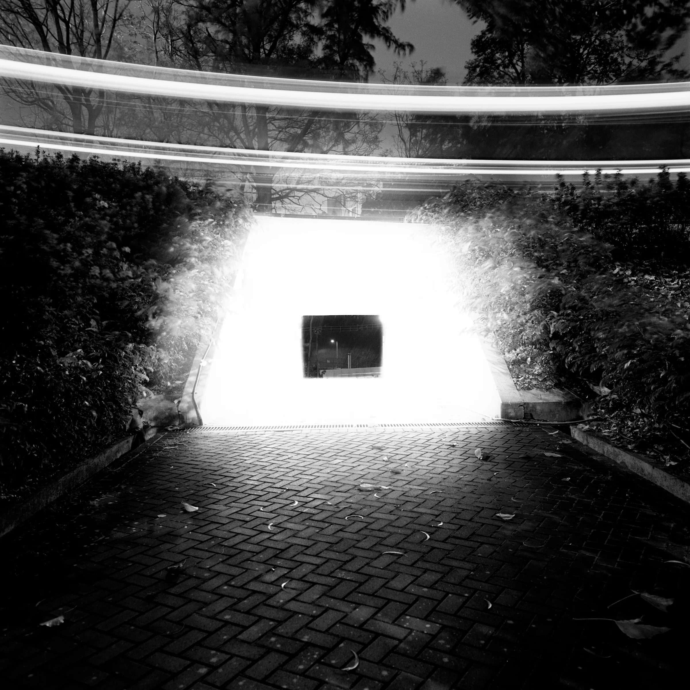 South Ho Siu Nam, Untitled, 2024