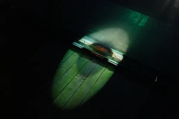 Thailand Biennale 48