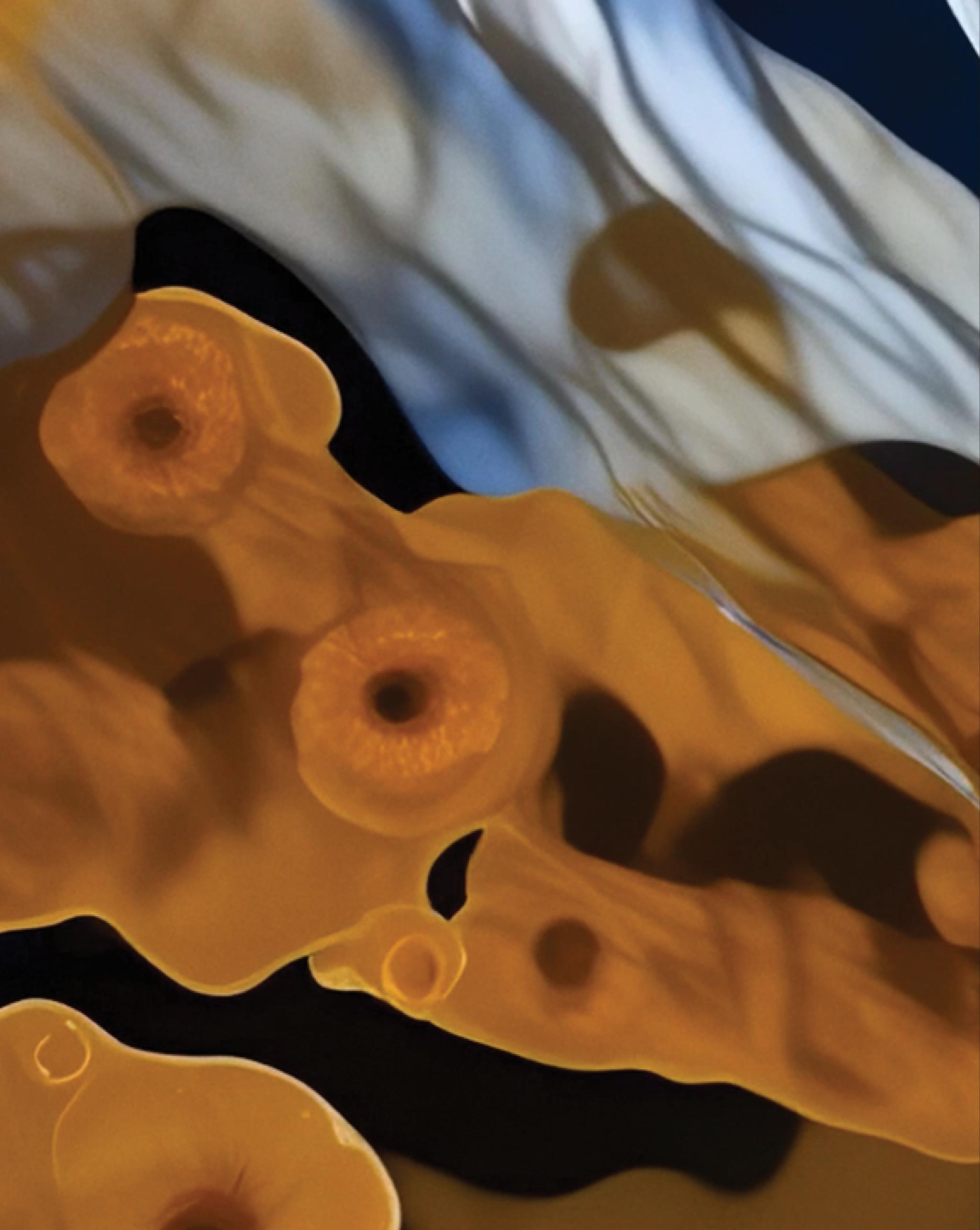 SH841-CONG002-v12.674 mobile