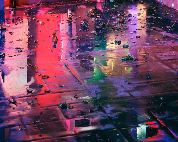 Fragments, 2013, archival inkjet print.