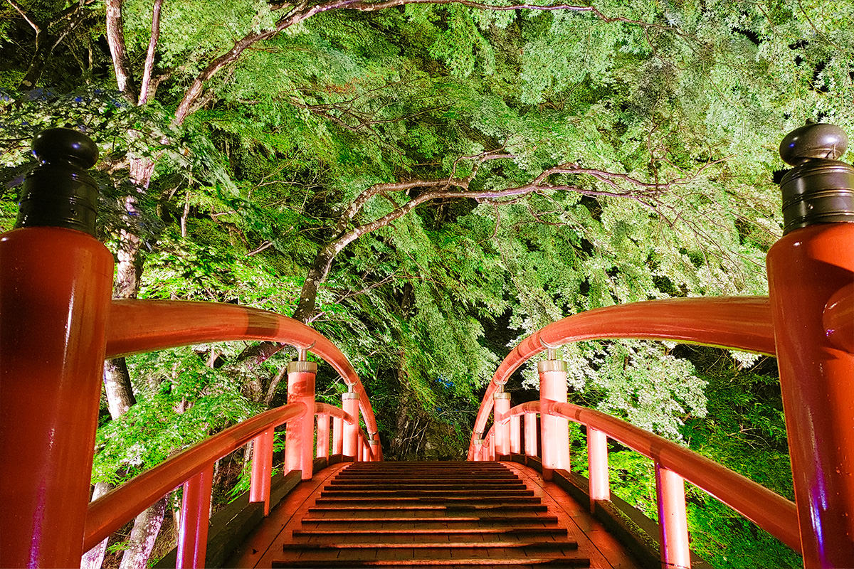 Kajika Bridge Spring Green Illumination