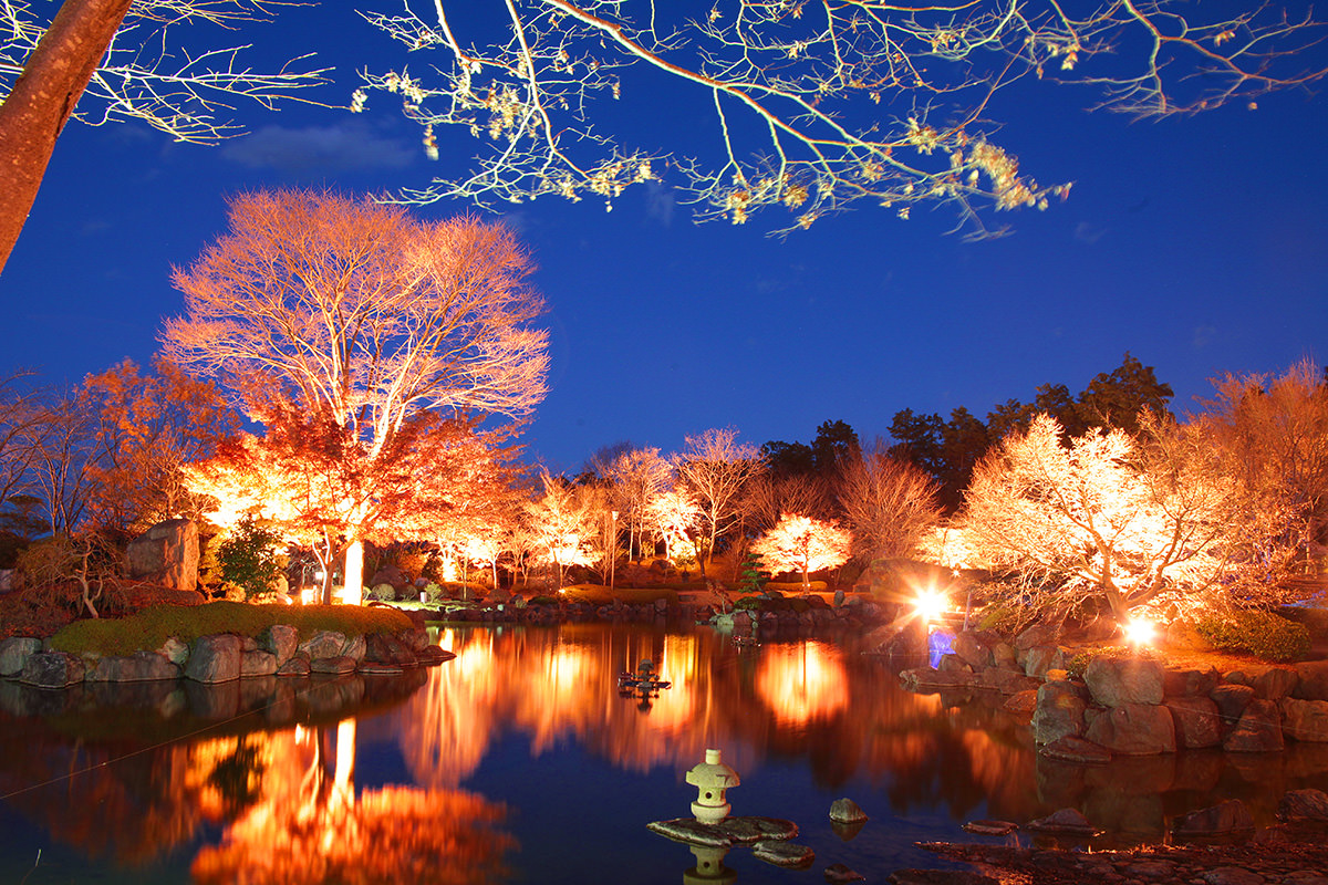 สวนสาธารณะซากุระยามะ