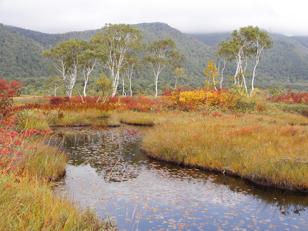 img_story_81_oze_04_04