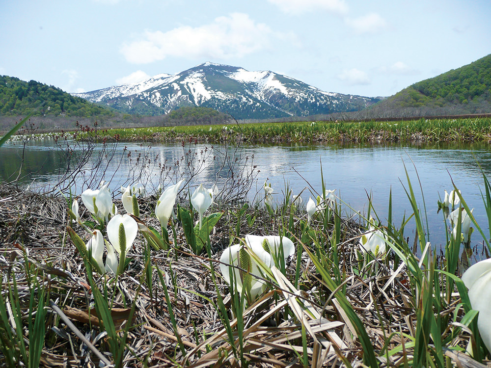 img_story_81_oze_01_02