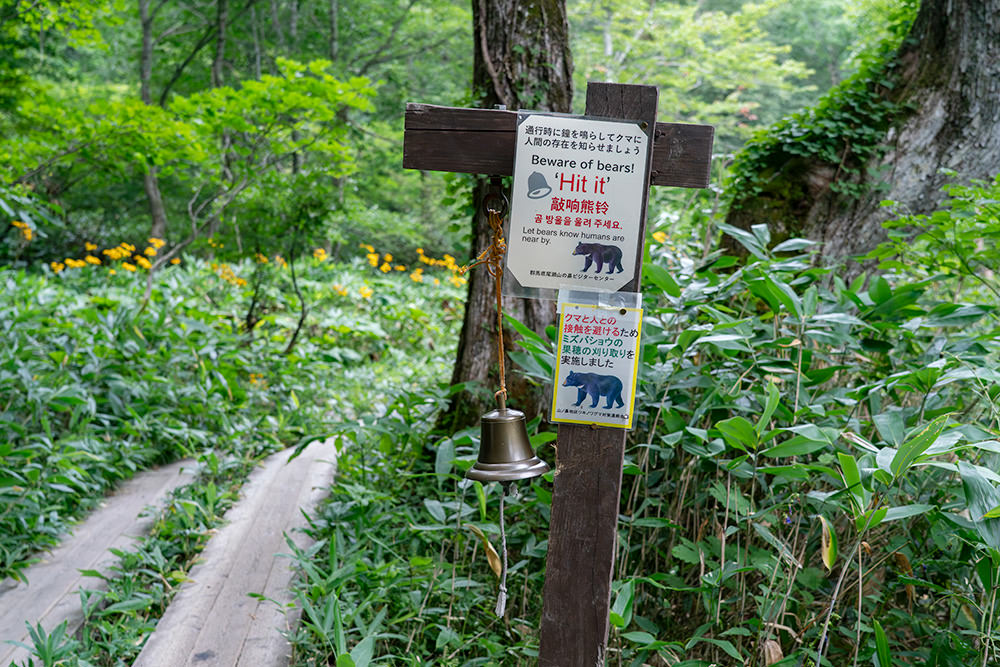 img_story_81_oze_06_02